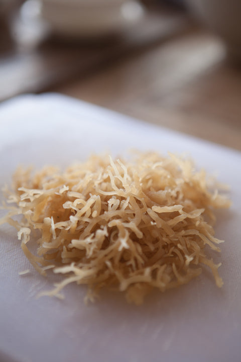 Wildcrafted Gold Raw Sea Moss